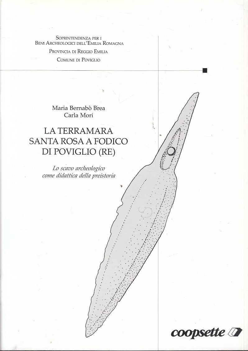 LS- TERRAMARA SANTA ROSA A FODICO DI POVIGLIO RE-- COOPSETTE--- 1997- S - YFS816