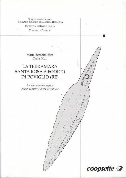LS- TERRAMARA SANTA ROSA A FODICO DI POVIGLIO RE-- COOPSETTE--- 1997- S - YFS816