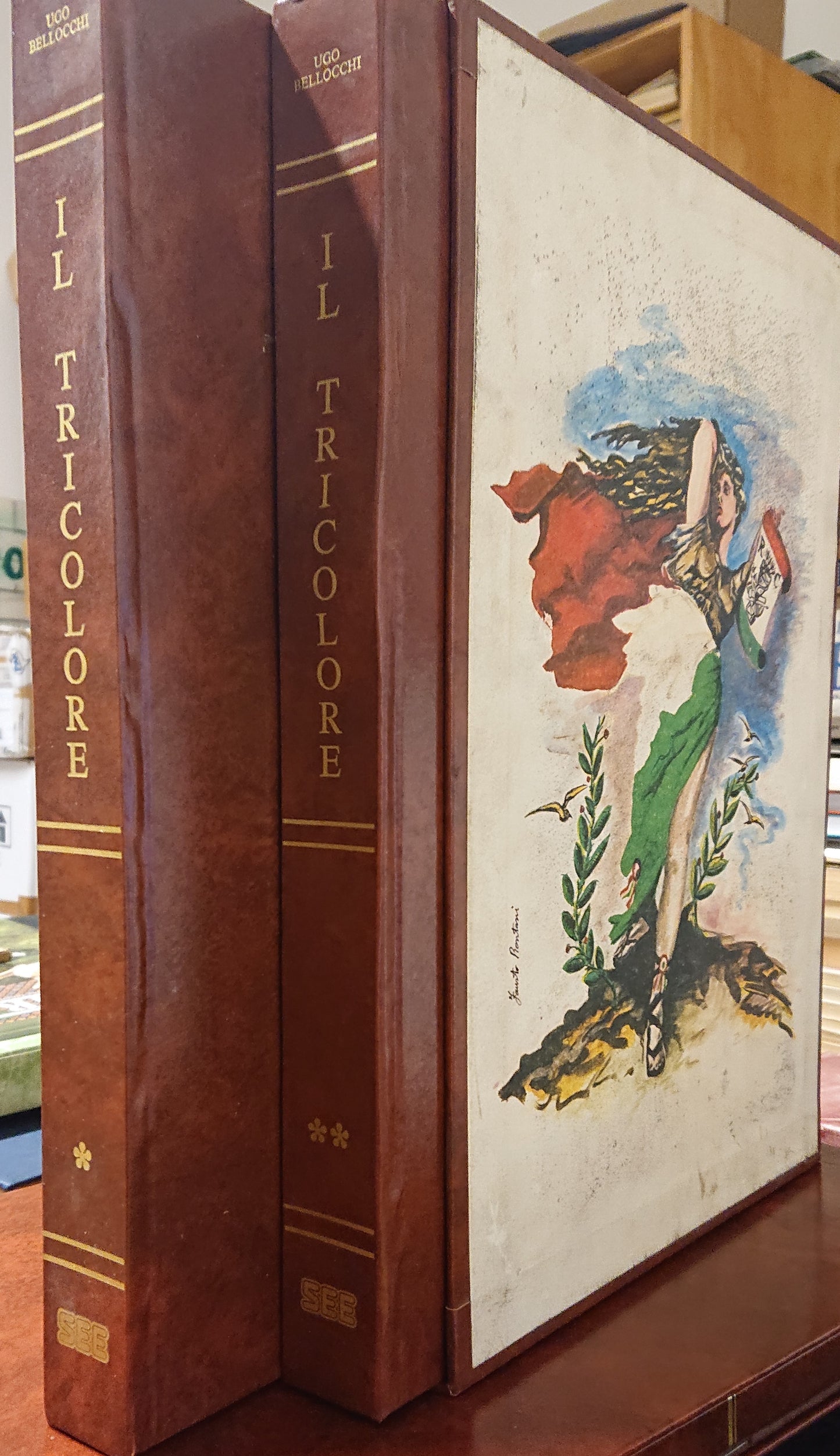 LS- IL TRICOLORE 1796 - 1986 2 VOL - UGO BELLOCCHI - SEE --- 1986 - C - YFS813