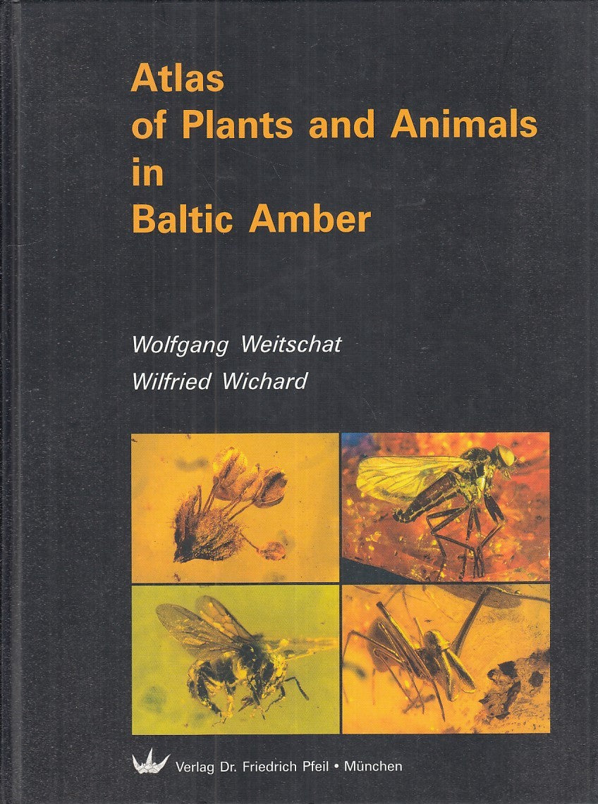 LZ- ATLAS PLANTS AND ANIMALS BALTIC AMBER - WEITSCHAT - PFEIL--- 2002- C- YFS778