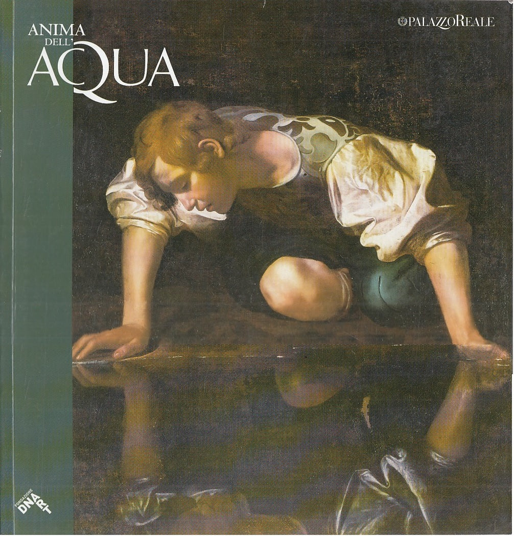LT- ANIMA DELL'ACQUA MOSTRA - DNART - PALAZZO REALE MILANO --- 2009 - B - YFS825