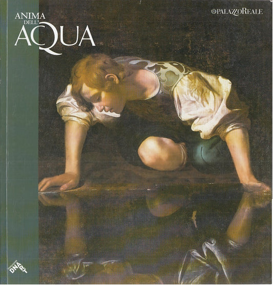 LT- ANIMA DELL'ACQUA MOSTRA - DNART - PALAZZO REALE MILANO --- 2009 - B - YFS825