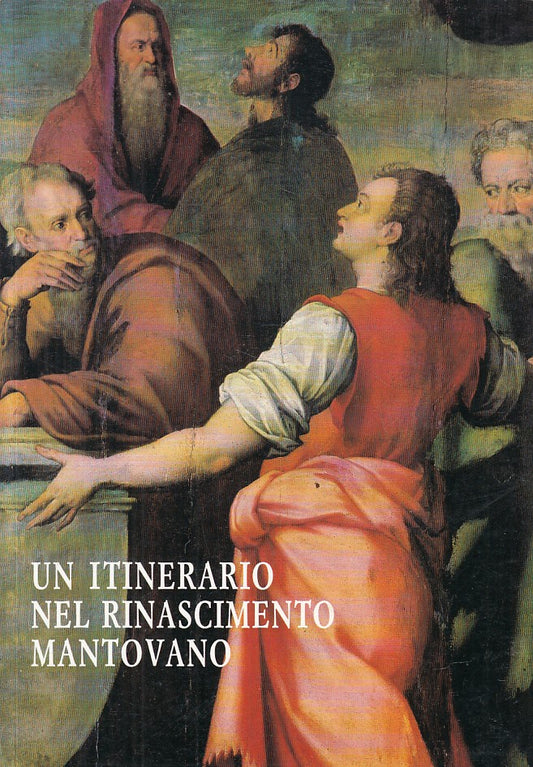 LT- ITINERARIO RINASCIMETNO MANTOVANO MUSEO GONZAGA-- MANTOVA--- 1989- B- YFS195