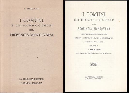 LS- I COMUNI E LE PARROCCHIE PROVINCIA MANTOVANA-- TERRAZZA--- 1974 - B - YFS381