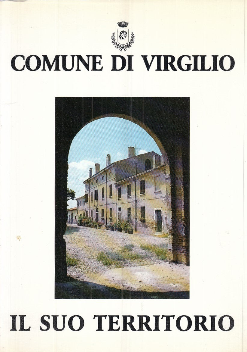LZ- COMUNE DI VIRGILIO IL SUO TERRITORIO -- BOTTAZZI --- 1990 - B - YFS868