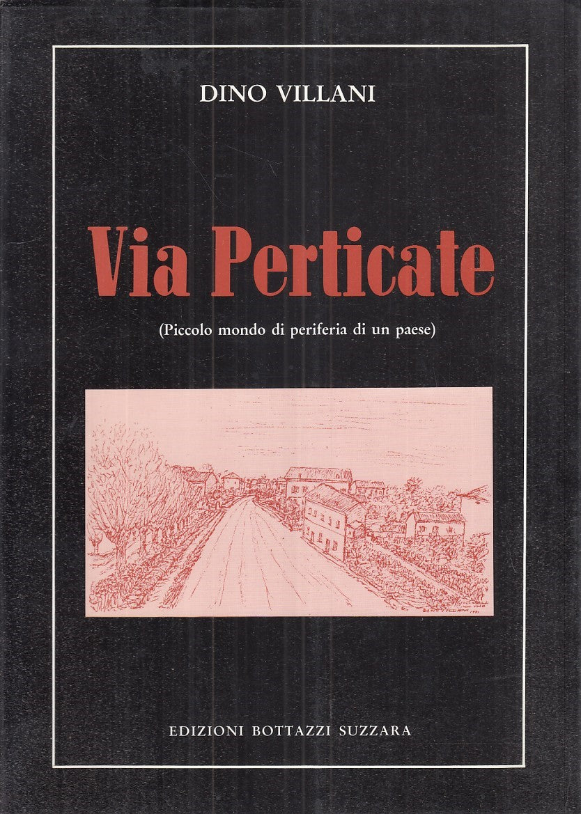 LZ- VIA PERTICATE - DINO VILLANI - BOTTAZZI --- 1989 - B - YFS871