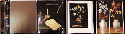LT- NATURA IN POSA GRANDE STAGIONE NATURA MORTA EUROPEA-- RIZZOLI---1976- CS-ZFS