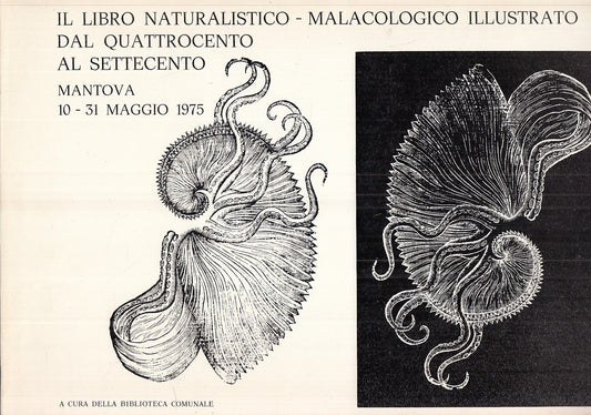 LZ- NATURALISTICO/MALACOLOGICO QUATTROCENTO SETTECENTO----- 1975- B- YFS874