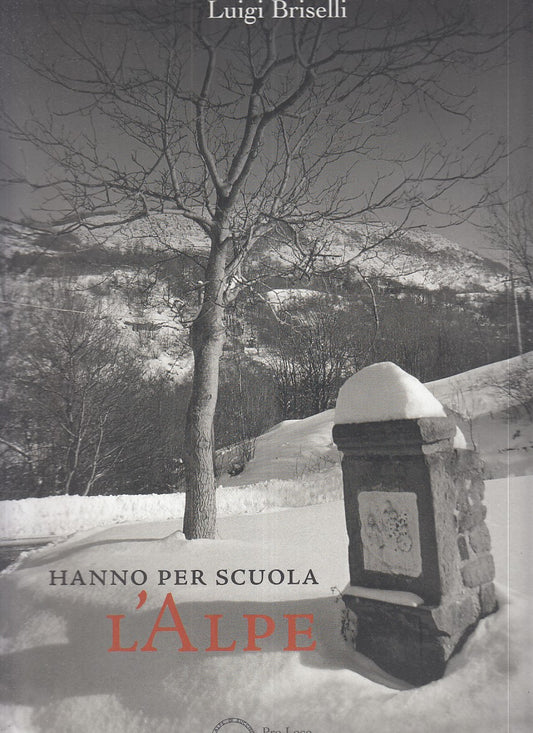 LZ- HANNO PER SCUOLA L'ALPE- LUIGI BRISELLI- PRO LOCO SUCCISO--- 2007- B- YFS885