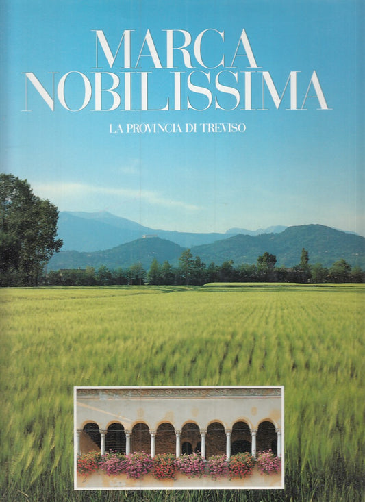 LZ- MARCA NOBILISSIMA PROVINCIA DI TREVISO- MARTON- VIANELLO--- 1994- CS- YFS892