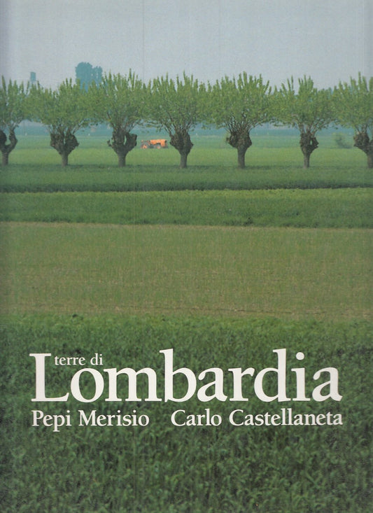 LZ- TERRE DI LOMBARDIA- MERISIO CASTELLANETA- GRAFICA E ARTE--- 1990- CS- YFS893