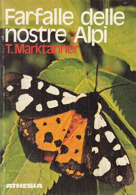 LZ- FARFALLE DELLE NOSTRE ALPI - MARKTANNER - ATHESIA --- 1983 - B - ZFS455