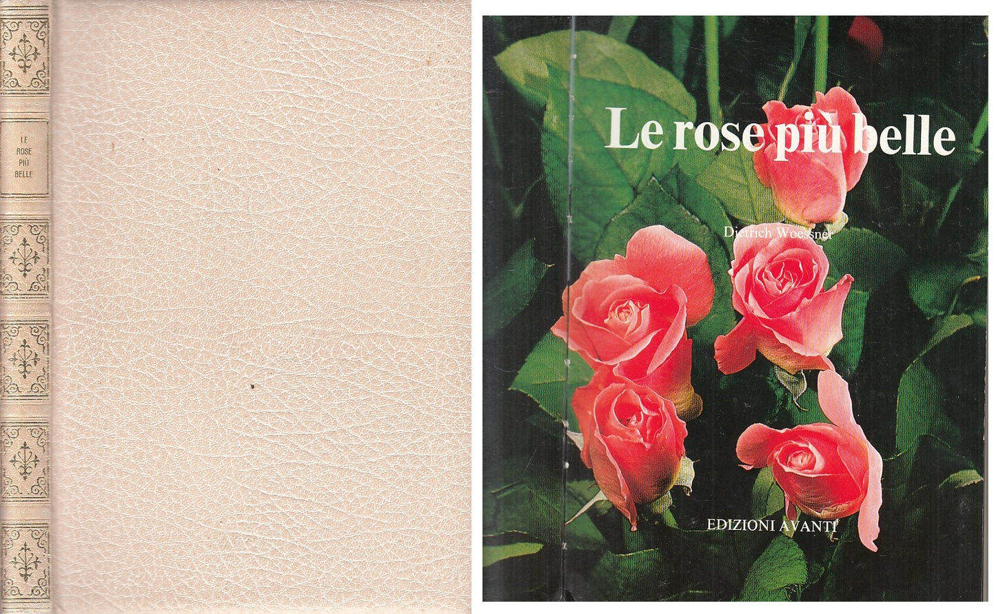 LZ- LE ROSE PIU' BELLE - DIETRICH WOESSNER - AVANTI --- 1976 - C - ZFS291