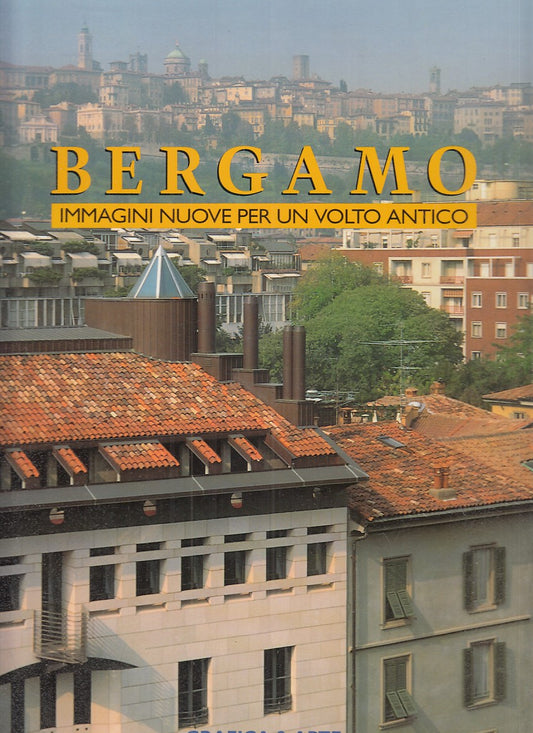 LZ- BERGAMO  IMMAGINI - ANGELINI DE BIASI - GRAFICA & ARTE --- 1994 - CS- YFS889