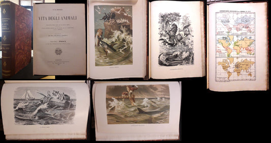 LZ- LA VITA DEGLI ANIMALI VOL. VIII PESCI - BREHM - UTET--- 1903 - C - ZFS