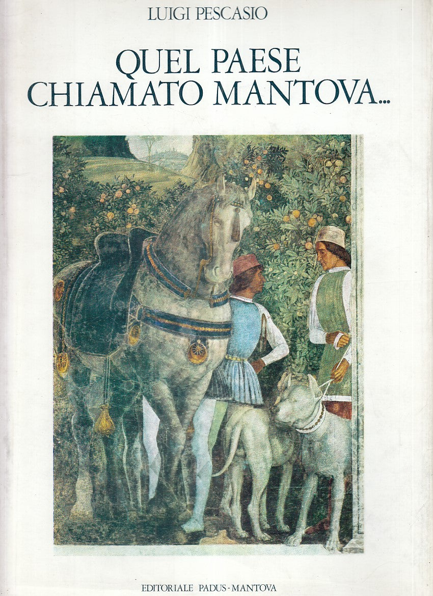 LS- QUEL PAESE CHIAMATO MANTOVA ... - PESCASIO - PADUS--- 1977 - CS - ZFS553