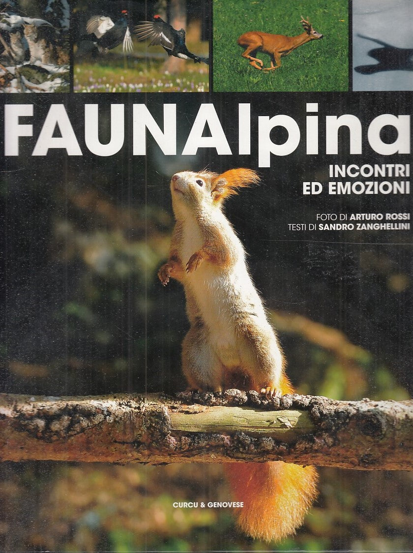 LZ- FAUNALPINA INCONTRI ED EMOZIONI- ROSSI- CURCU & GENOVESE--- 2010- CS- YFS915