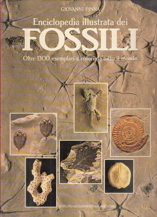 LZ- ENCICLOPEDIA ILLUSTRATA DEI FOSSILI- PINNA- DE AGOSTINI--- 1985- CS - YFS896