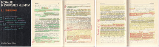 LS- DIZIONARIO PSICOANALISI KLEINIANA- HINSHELWOOD- CORTINA--- 1990 - B - ZFS217
