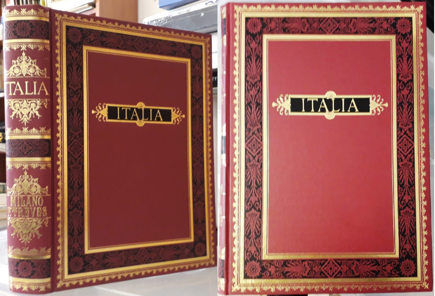 LV- ITALIA VIAGGIO PITTORESCO DALL'ALPI ALL'ETNA ANASTATICA -- TREVES--- 1987- C