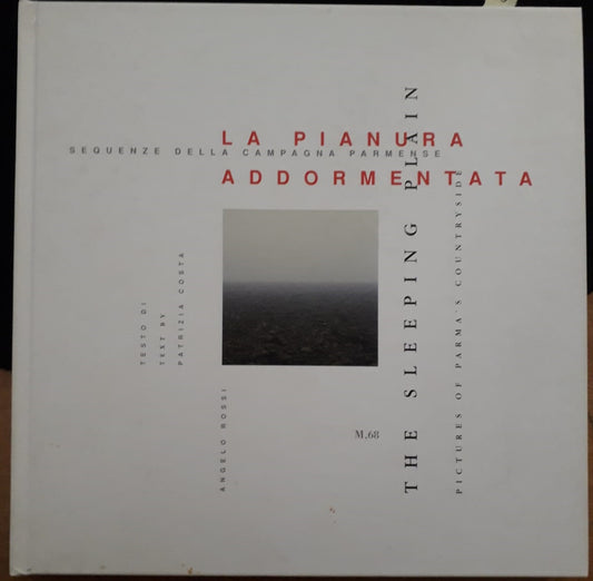 LZ- LA PIANURA ADDORMENTATA THE SLEEPING PLAIN PARMA -- M,68 --- 2004 -- WPR319