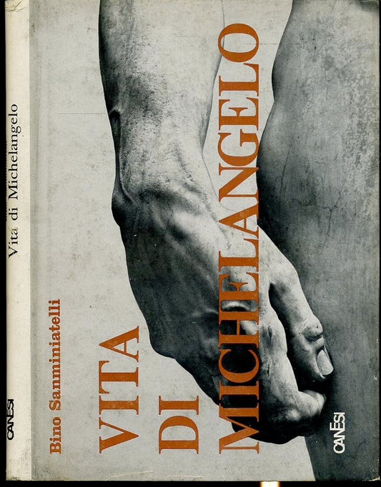 LT- VITA DI MICHELANGELO - BINO SANMINIATELLI - CANESI --- 1965 - CS - YFS693