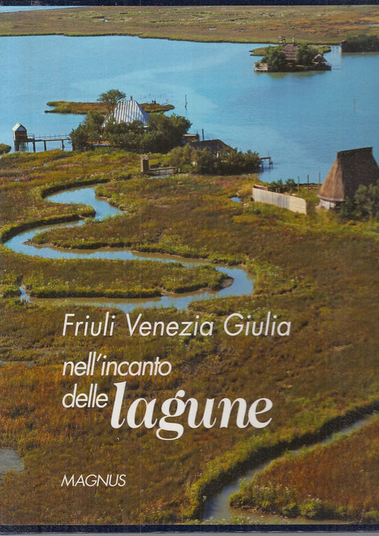 LV- FRIULI VENEZIA GIULIA NELL'INCANTO DELLE LAGUNE-- MAGNUS--- 2004- CS- YFS929