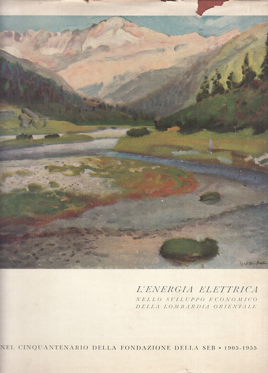 LS- ENERGIA ELETTRICA SVILUPPO ECONOMICO LOMBARDIA-- BRESCIA--- 1955- CS- YFS709