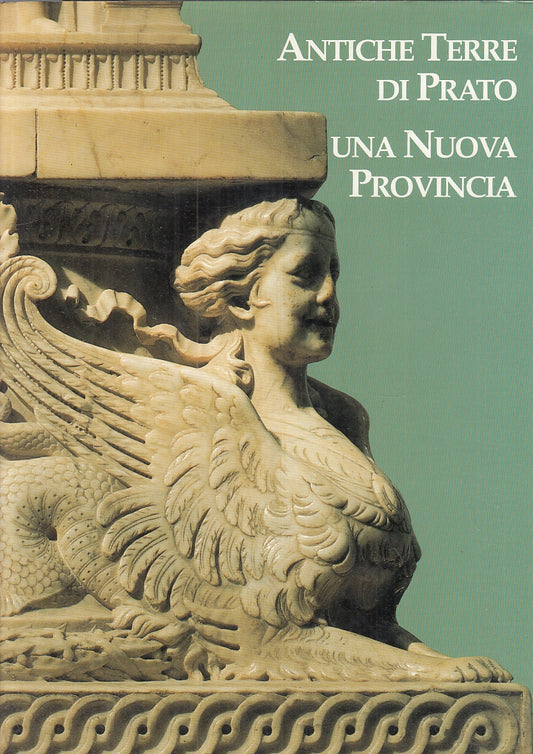 LV- ANTICHE TERRE DI PRATO UNA NUOVA PROVINCIA -- GIUNTI ---  1994 - CS - YFS925