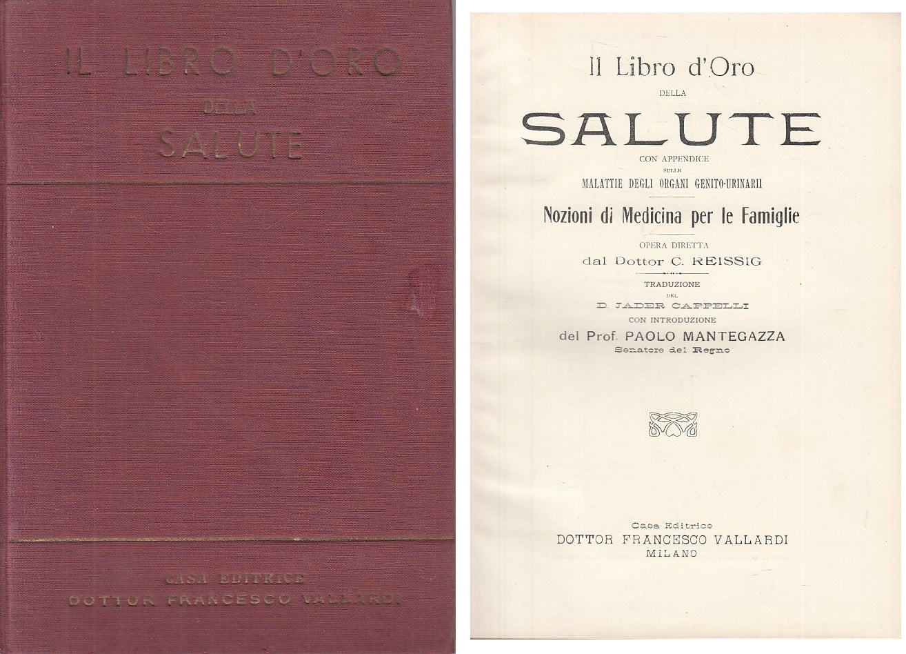 LZ- IL LIBRO D'ORO DELLA SALUTE MALATTIE ORGANI-- VALLARDI --- 1908 - C - ZFS124