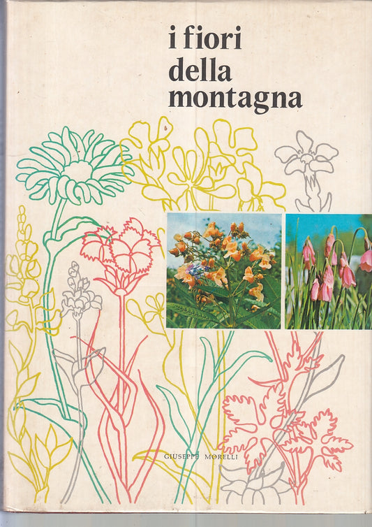 LZ- I FIORI DELLA MONTAGNA - GIUSEPPE MORELLI - TRENTO --- 1970- CS- YFS287