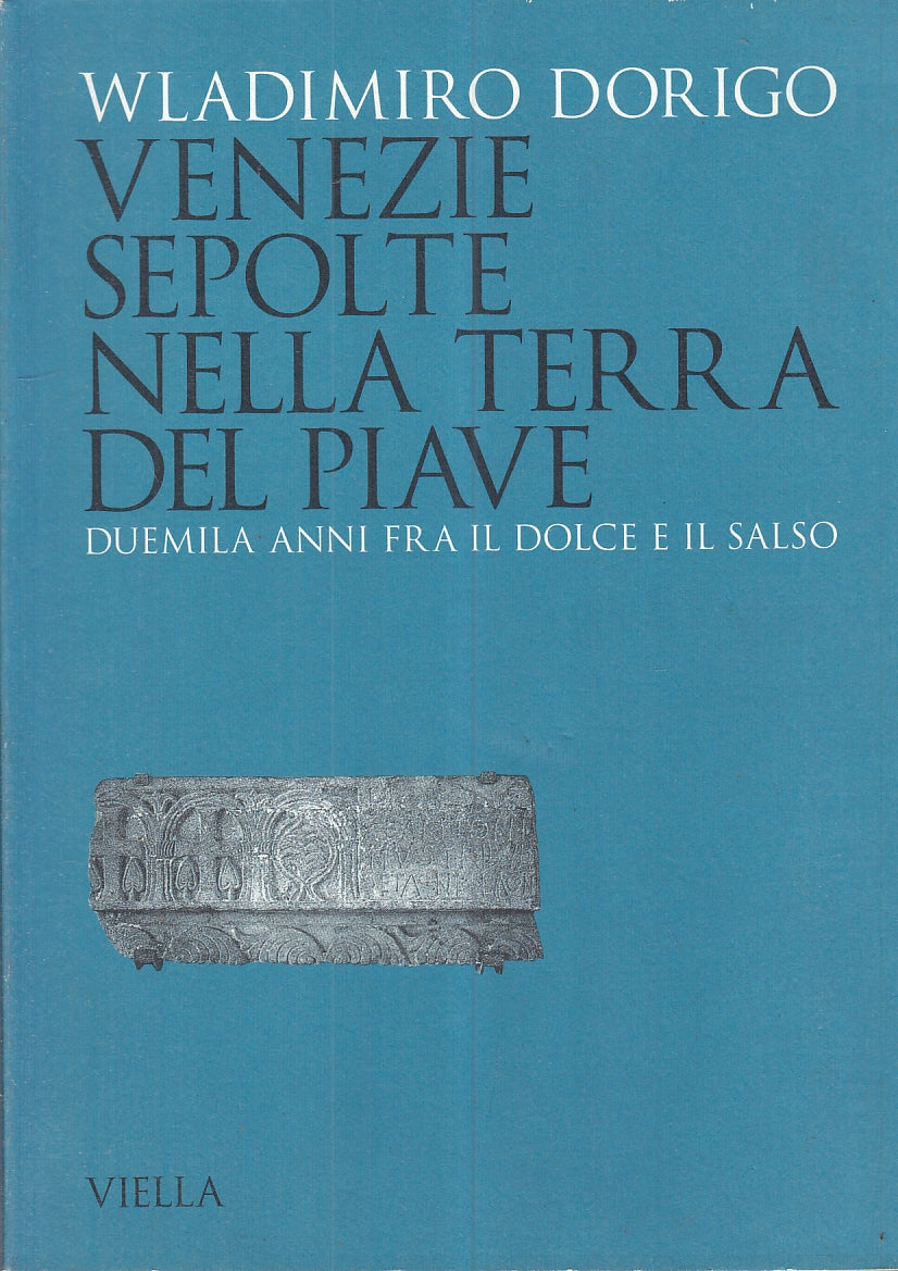 LS- VENEZIE SEPOLTE NELLA TERRA DEL PIAVE - DORIGO - VIELLA --- 1994 - B- YFS287