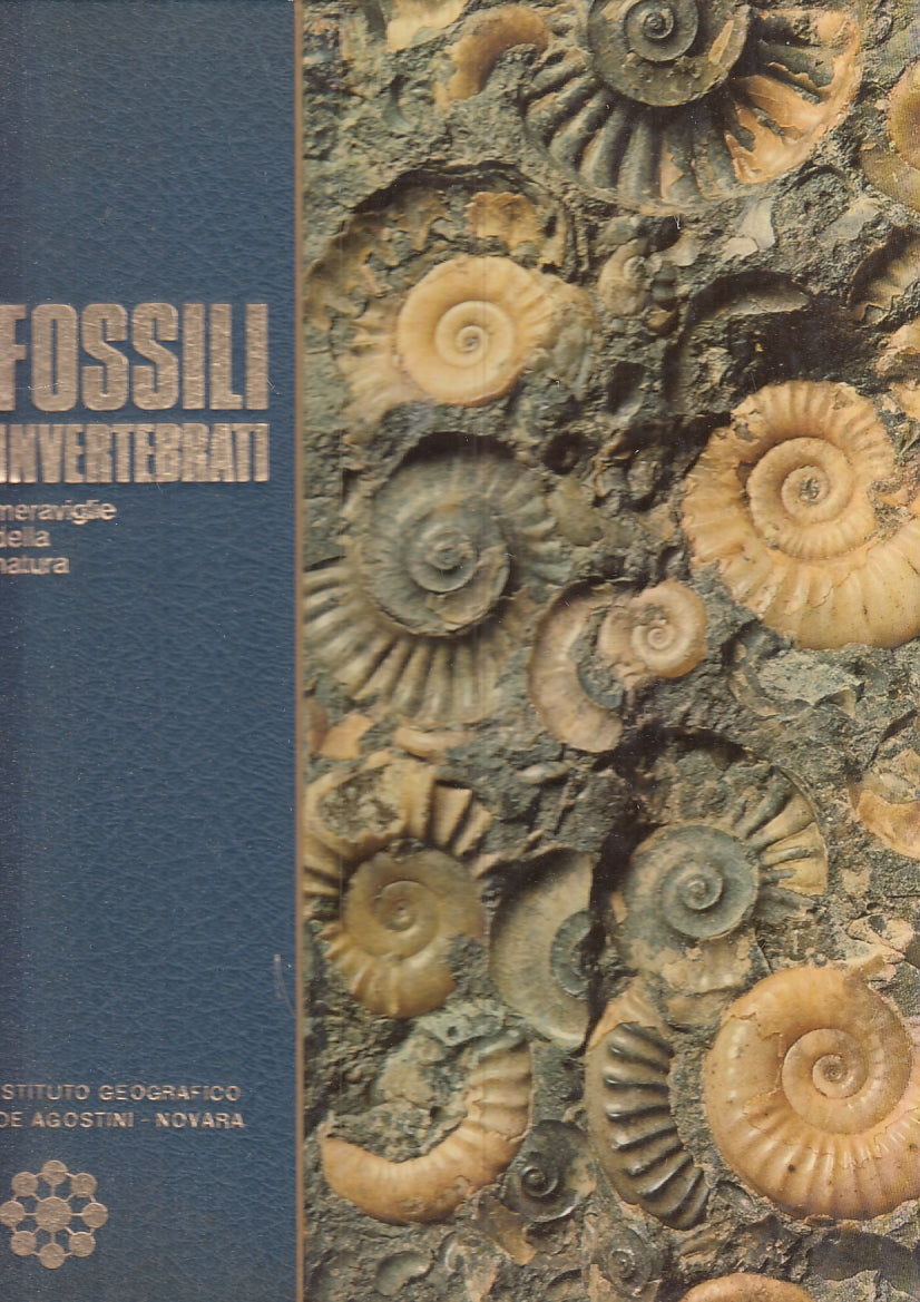 LZ- FOSSILI INVERTEBRATI- PINNA- De AGOSTINI- MERAVIGLIE NATURA-- 1972- C-YFS940
