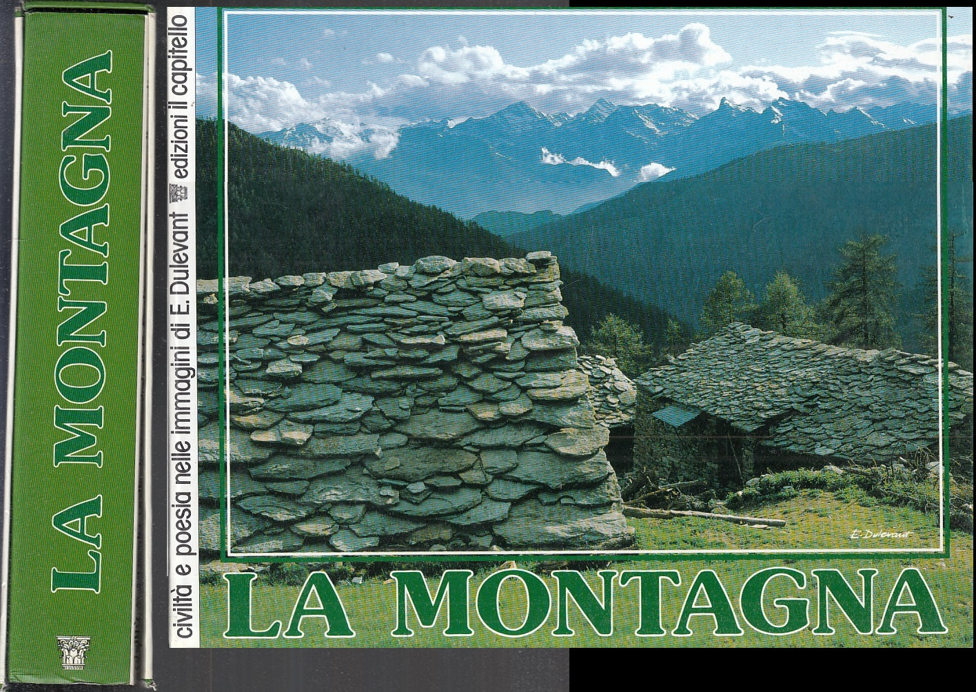 LV- LA MONTAGNA CIVILTA' POESIA IMMAGINI DULEVANT-- CAPITELLO--- 1988- CS-YFS943