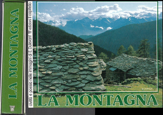 LV- LA MONTAGNA CIVILTA' POESIA IMMAGINI DULEVANT-- CAPITELLO--- 1988- CS-YFS943