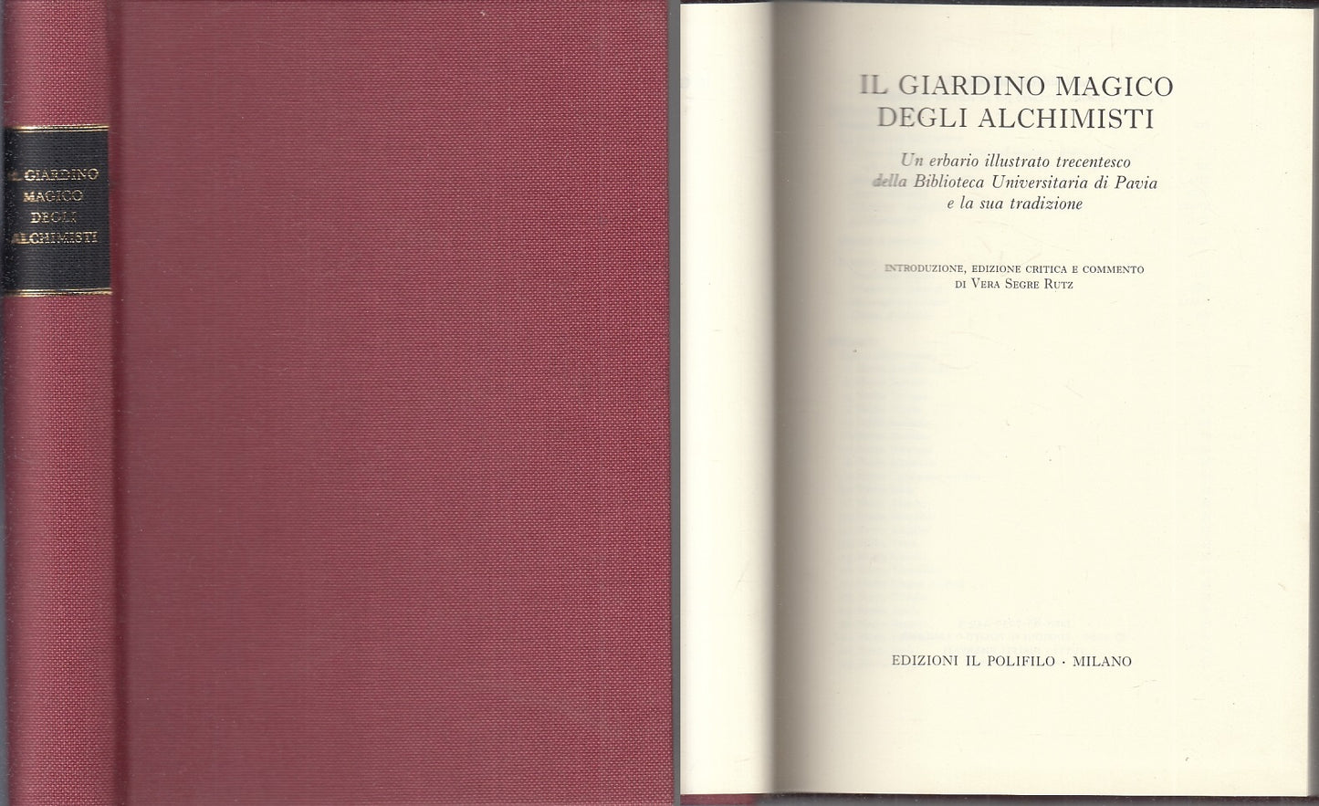 LZ- IL GIARDINO MAGICO DEGLI ALCHIMISTI- SEGRE RUTZ- POLIFILO--- 2000- C- XFS116