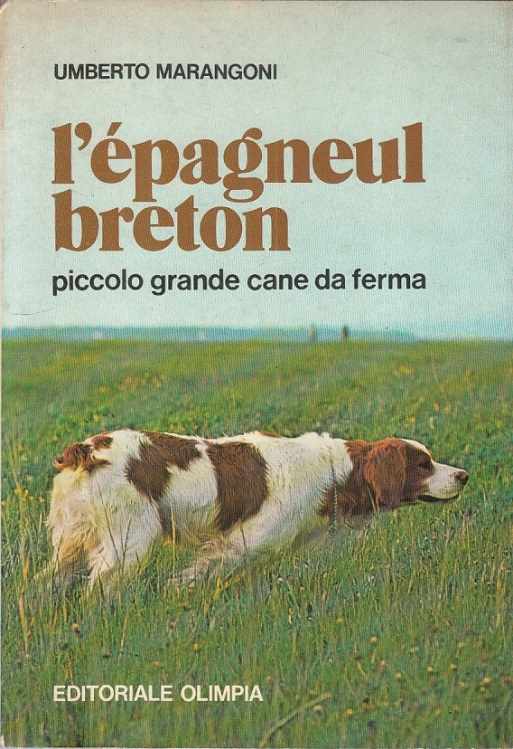 LZ- L'ESPAGNEUL BRETO PICCOLO GRANDE CANE DA FERMA -- OLIMPIA--- 1981 - B - ZFS2