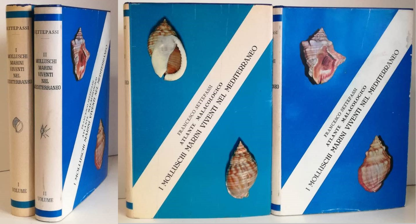 LZ- ATLANTE MALACOLOGICO I/II MOLLUSCHI MARINI - SETTEPASSI---- 1970- CS- YFS222
