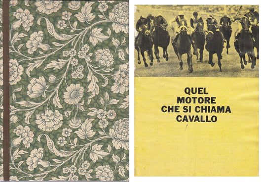 LZ- QUEL MOTORE CHE SI CHIAMA CAVALLO-- CORRIERE DEI PICCOLI--- 1962- C - ZFS422
