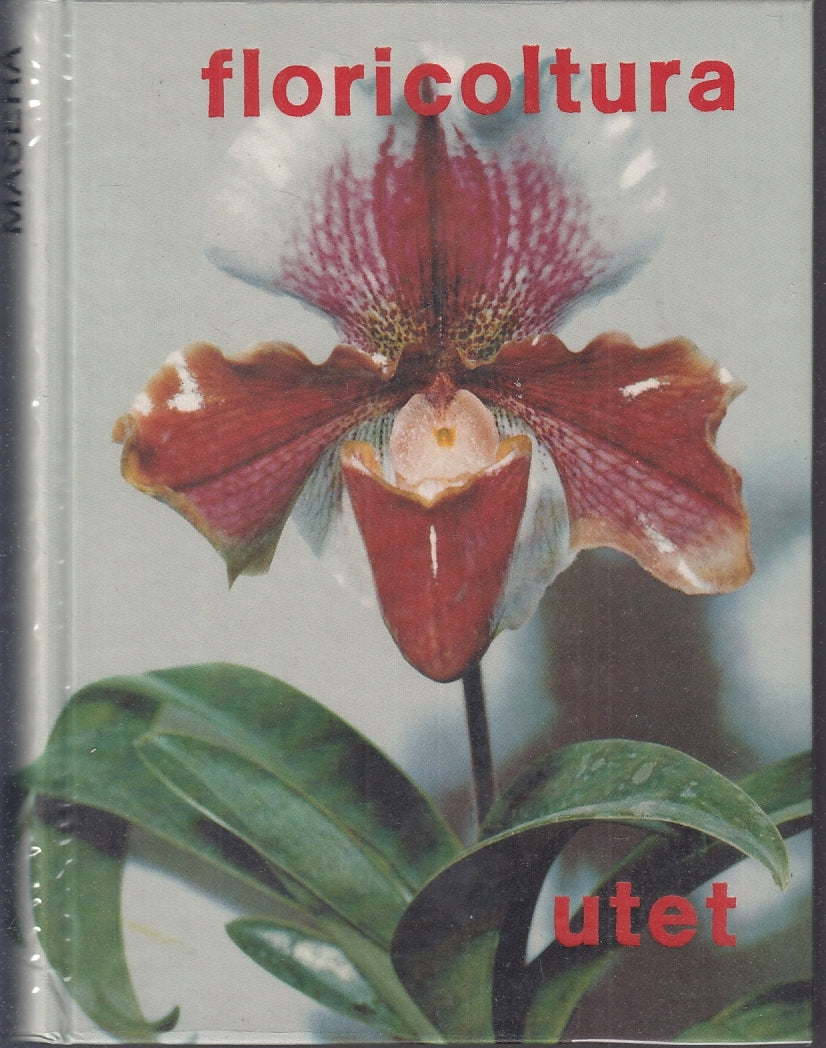 LZ- FLORICOLTURA - ONORATO MASERA - UTET --- 1970 - CS - YFS941