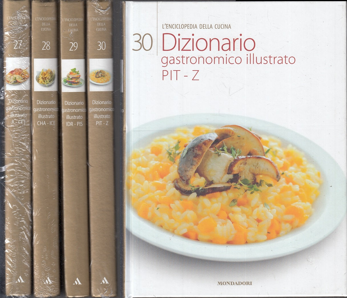LK- DIZIONARIO GASTRONOMICO ILLUSTRATO 1/4 COMPLETA-- MONDADORI--- 2009-C-YFS578