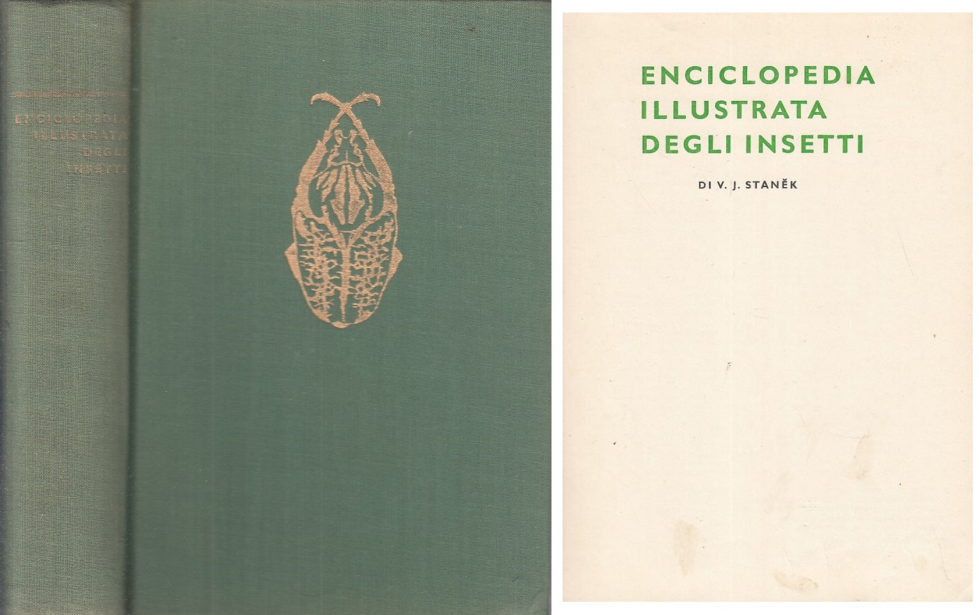 LZ- ENCICLOPEDIA ILLUSTRATA DEGLI INSETTI -- LA PIETRA --- 1970 - C - ZFS413