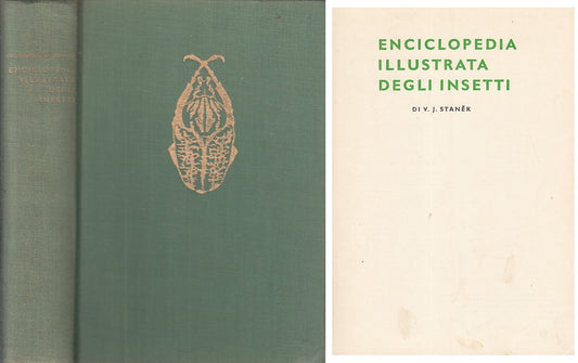 LZ- ENCICLOPEDIA ILLUSTRATA DEGLI INSETTI -- LA PIETRA --- 1970 - C - ZFS413