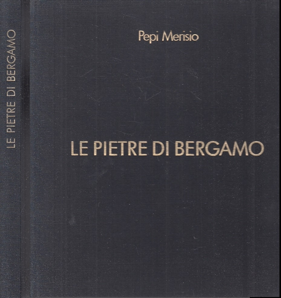 LT- LE PIETRE DI BERGAMO LIBRO FOTOGRAFICO - PEPI MERISIO ---- 2000 - C - YFS505