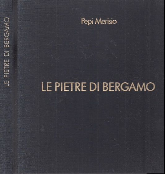 LT- LE PIETRE DI BERGAMO LIBRO FOTOGRAFICO - PEPI MERISIO ---- 2000 - C - YFS505