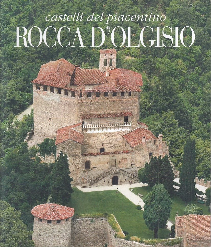 LV- CASTELLI DEL PIACENTINO ROCCA D'OLGISIO -- GRAFICHE STEP --- 2011- B- YFS694