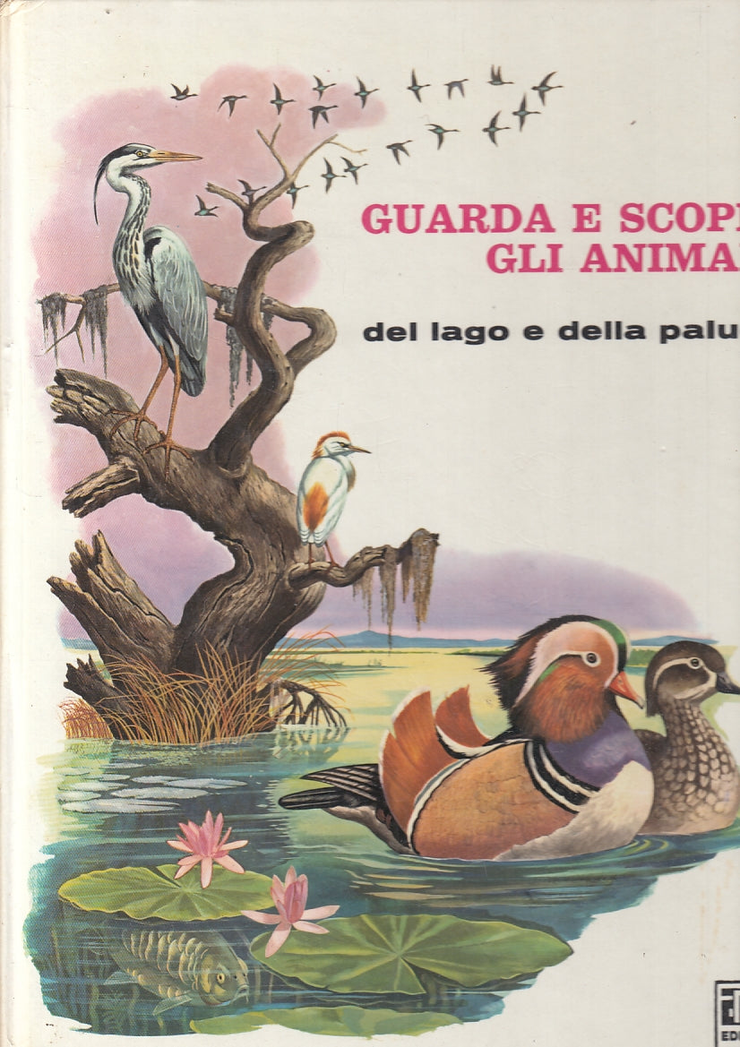 LB- GUARDA E SCOPRI GLI ANIMALI 5 DEL LAGO E DELLA PALUDE-- AMZ--- C- YFS619