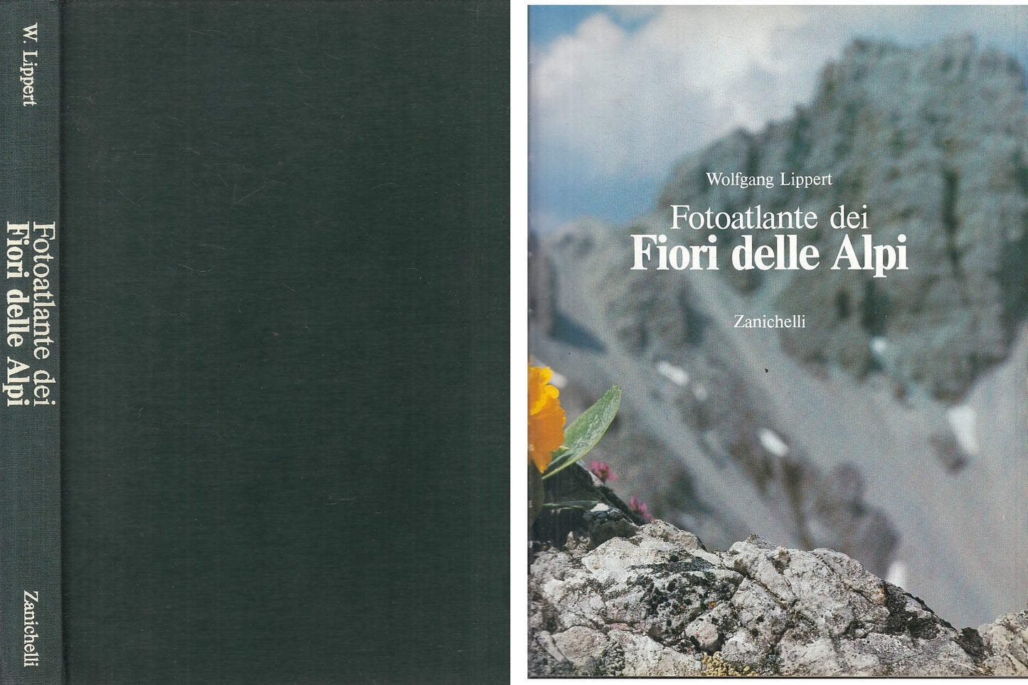 LZ- FOTOATLANTE DEI FIORI DELLE ALPI - LIPPERT - ZANICHELLI--- 1983 - C - YFS849