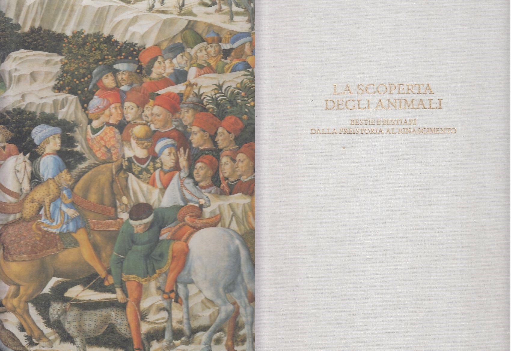 LT- LA SCOPERTA DEGLI ANIMALI - MEZZALIRA - ALLEMANDI --- 2001 - C - YFS854
