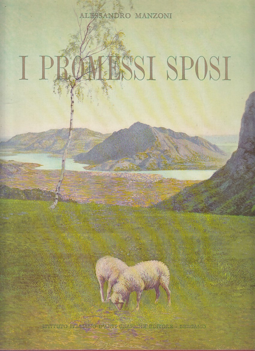 LN- I PROMESSI SPOSI - ALESSANDRO MANZONI - ARTI GRAFICHE --- 1977 - CS - YFS860